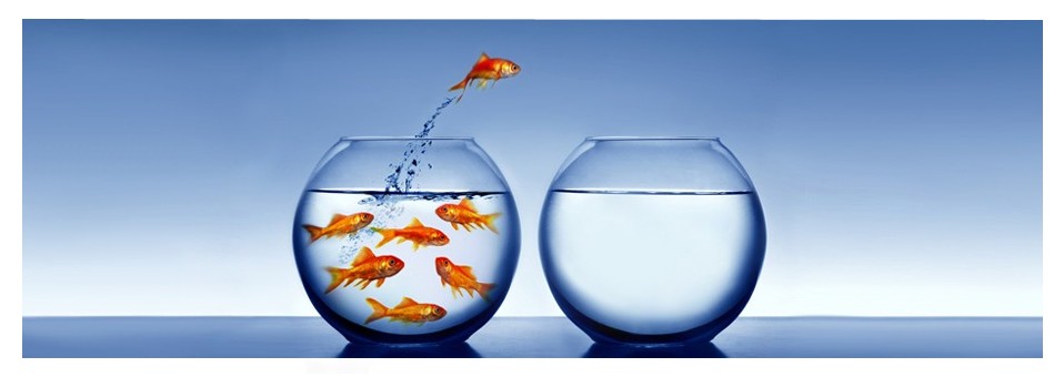 personal-life-coaching